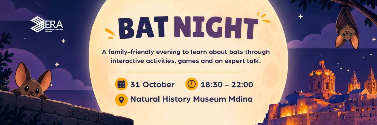 Bat Night